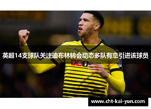 英超14支球队关注迪布林转会动态多队有意引进该球员